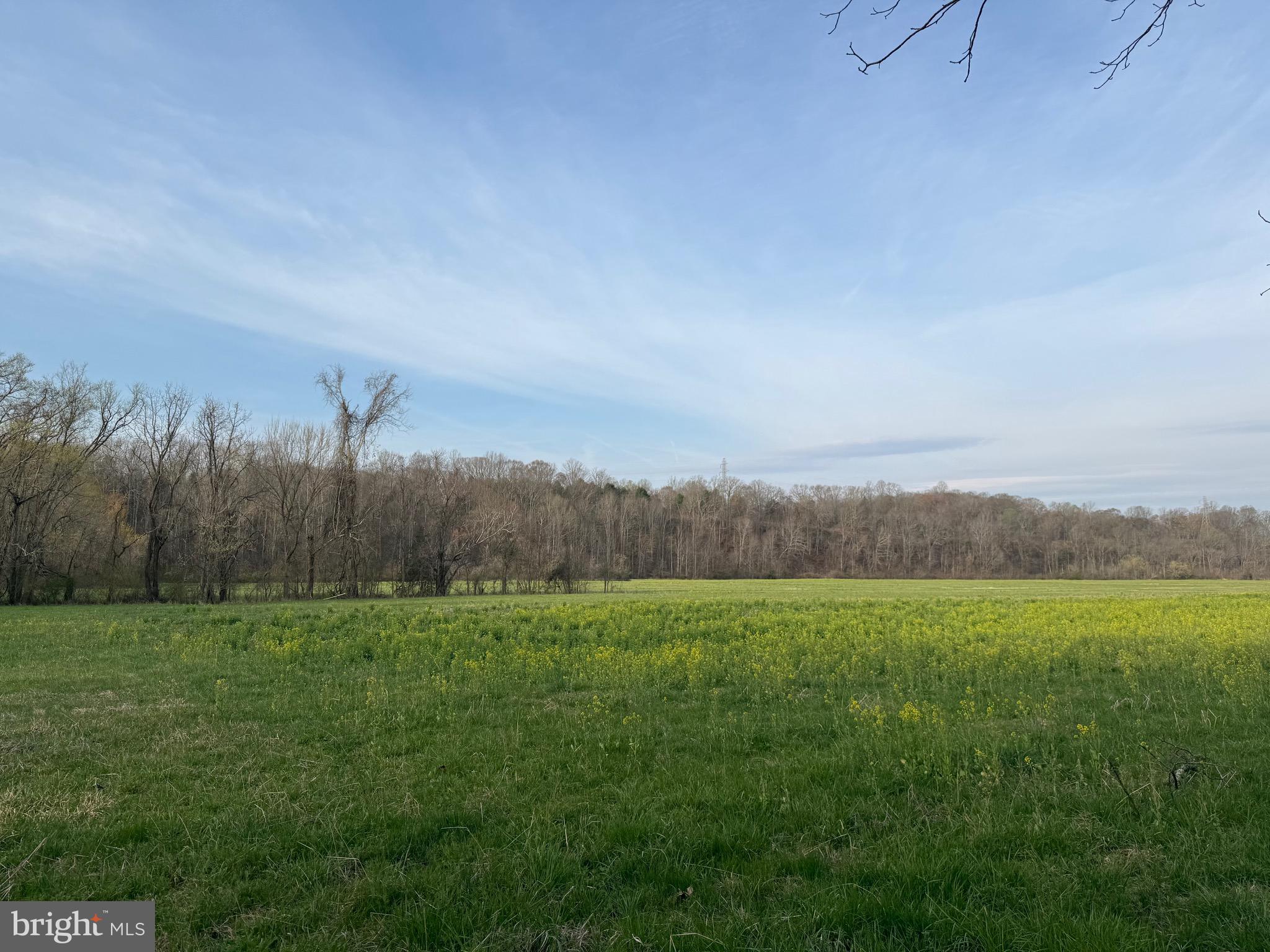 0 Paynes Pond Road Scottsville, VA 24590 - Photo 36 of 71