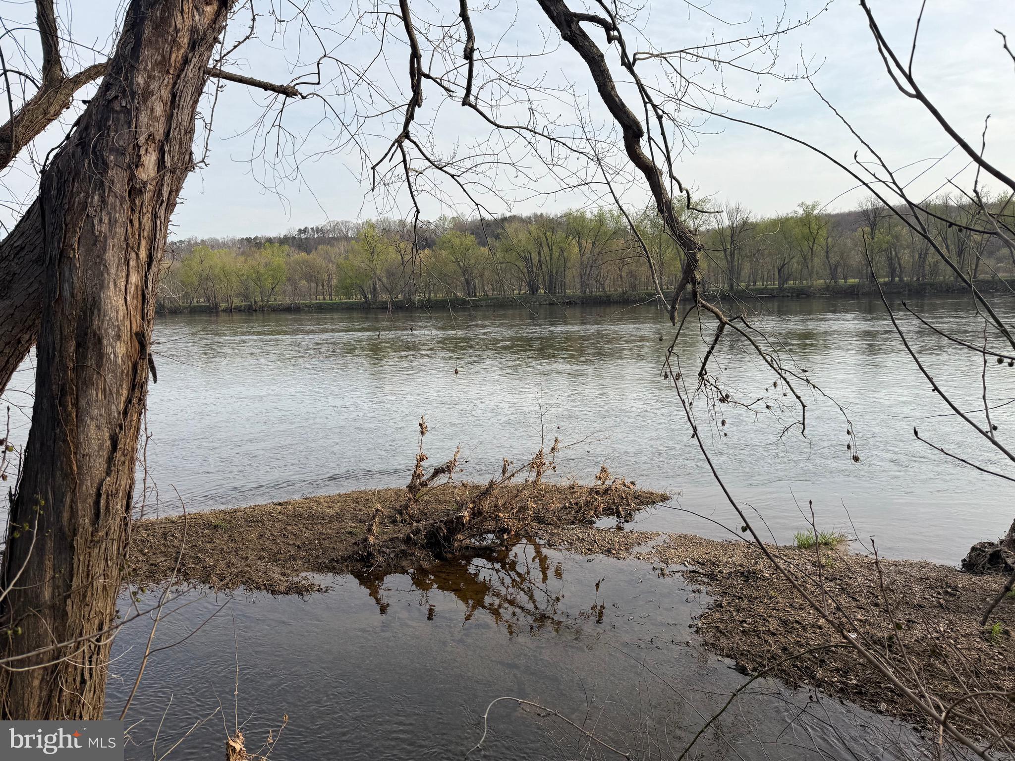 0 Paynes Pond Road Scottsville, VA 24590 - Photo 37 of 71