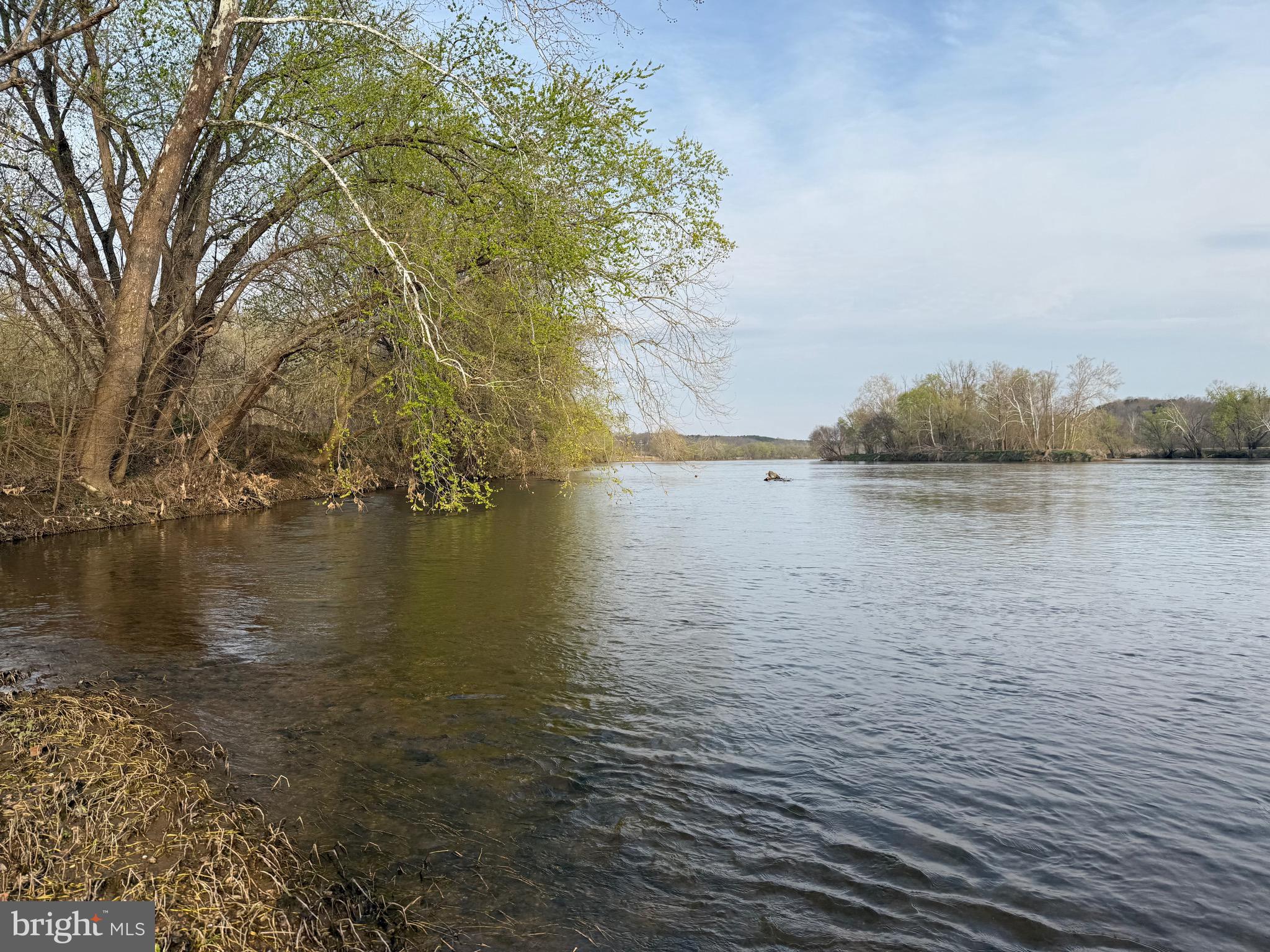 0 Paynes Pond Road Scottsville, VA 24590 - Photo 40 of 71