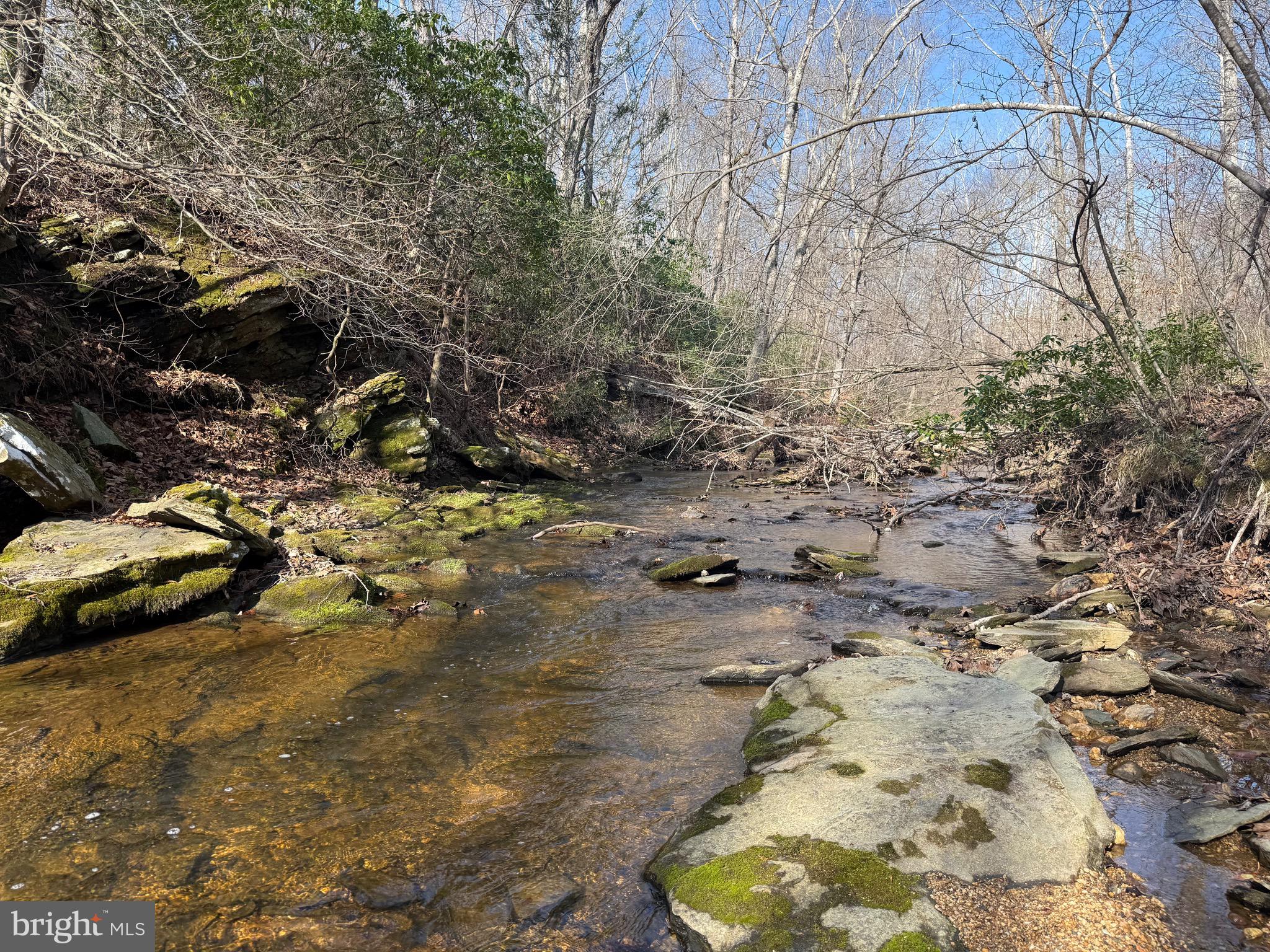 0 Paynes Pond Road Scottsville, VA 24590 - Photo 4 of 71