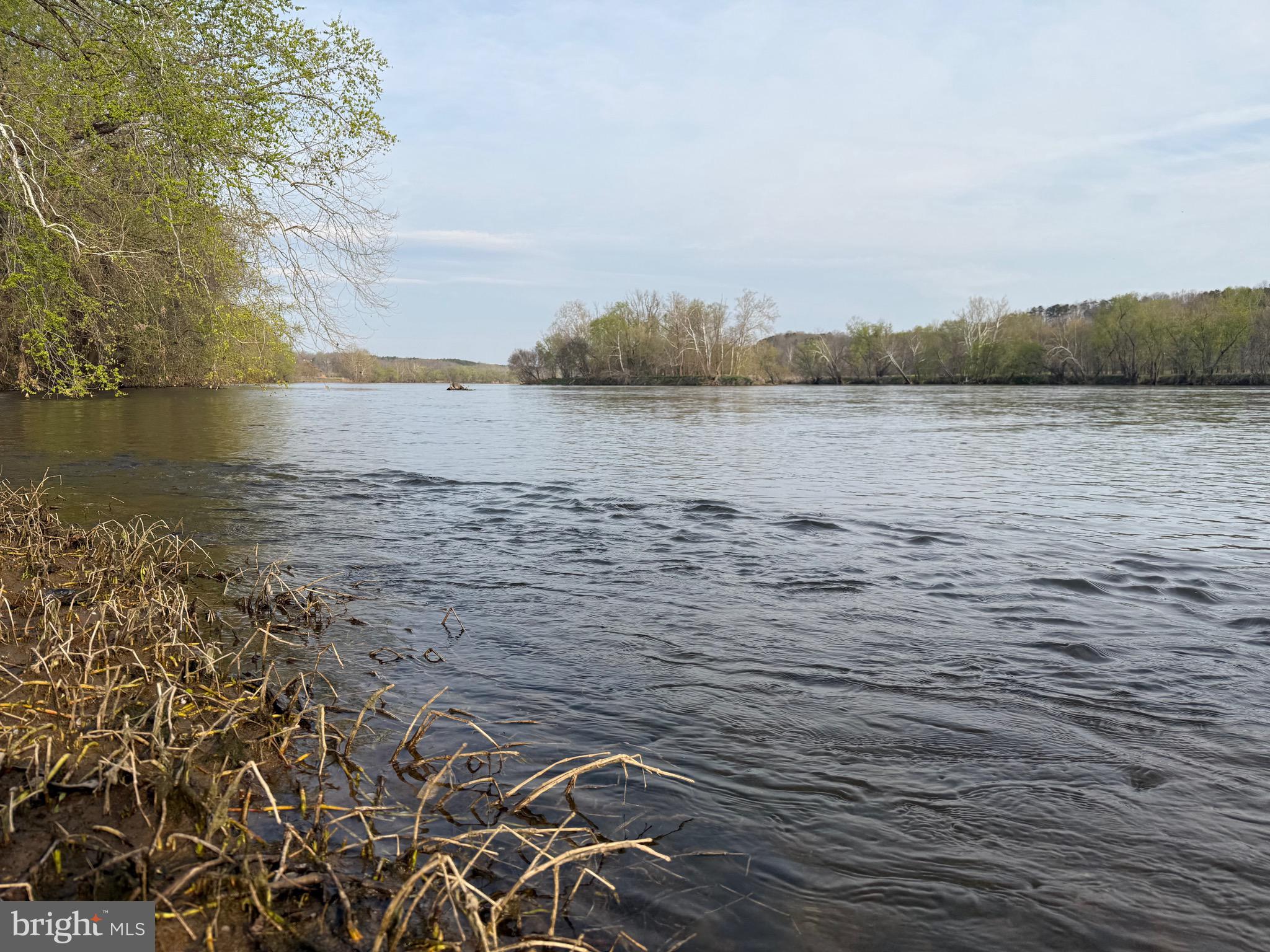 0 Paynes Pond Road Scottsville, VA 24590 - Photo 41 of 71