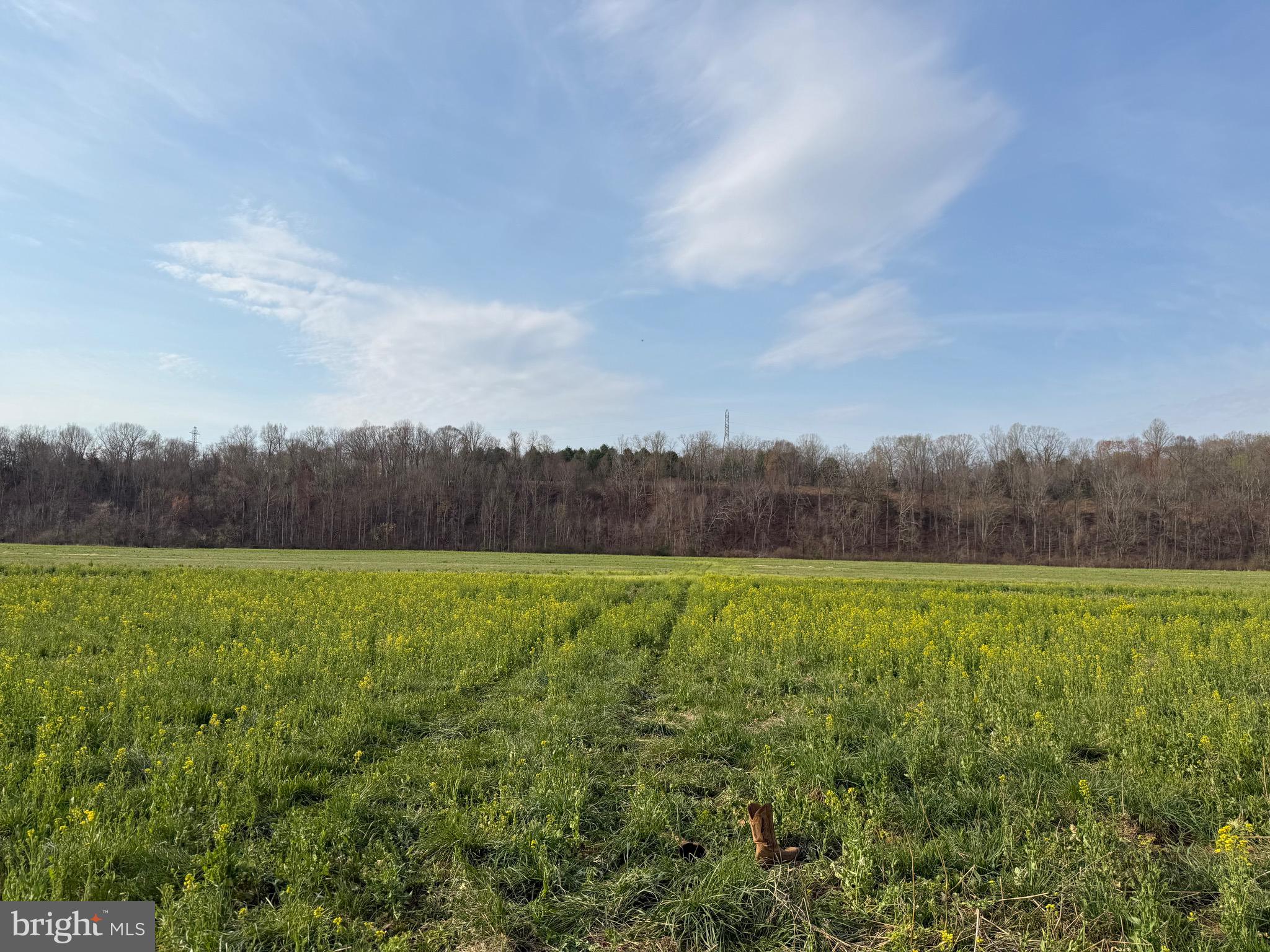 0 Paynes Pond Road Scottsville, VA 24590 - Photo 42 of 71