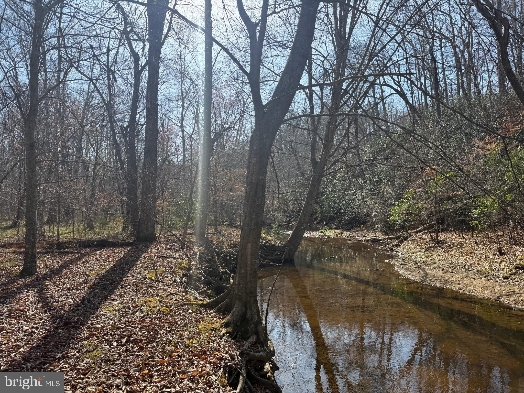 0 Paynes Pond Road Scottsville, VA 24590 - Photo 43 of 71