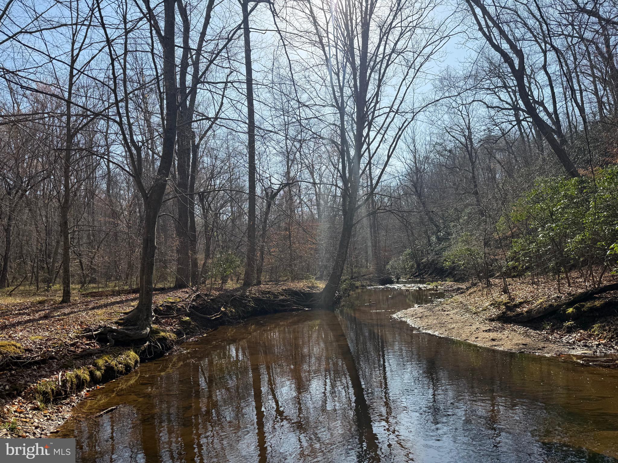 0 Paynes Pond Road Scottsville, VA 24590 - Photo 44 of 71