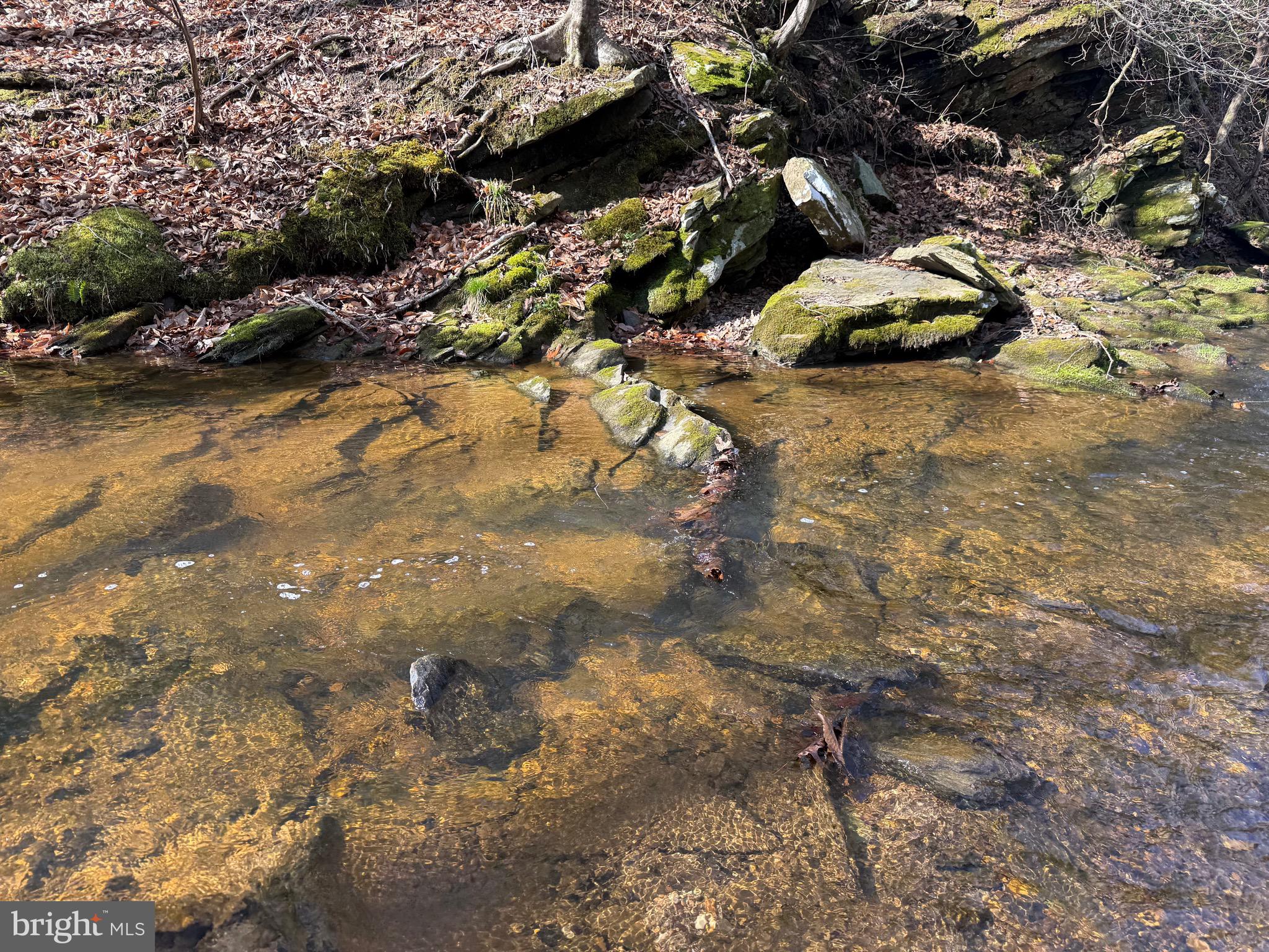 0 Paynes Pond Road Scottsville, VA 24590 - Photo 45 of 71