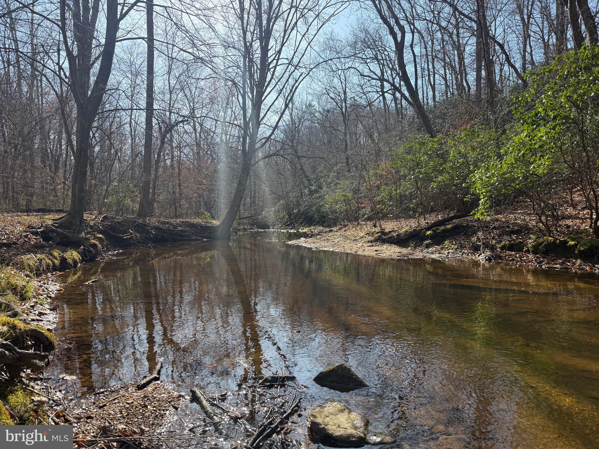 0 Paynes Pond Road Scottsville, VA 24590 - Photo 46 of 71