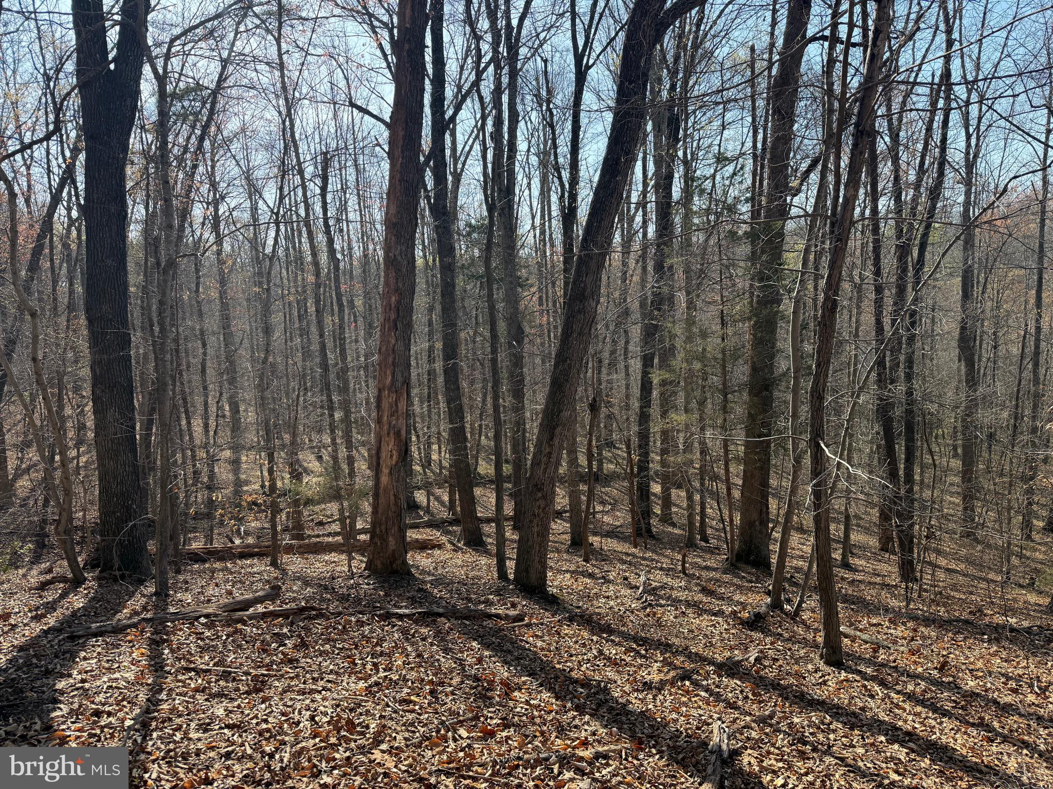 0 Paynes Pond Road Scottsville, VA 24590 - Photo 47 of 71