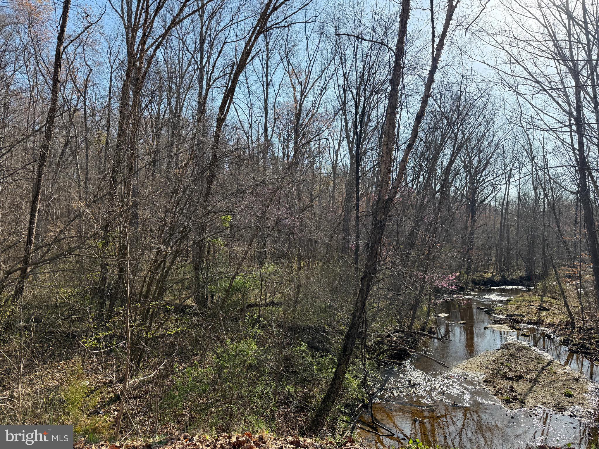 0 Paynes Pond Road Scottsville, VA 24590 - Photo 48 of 71