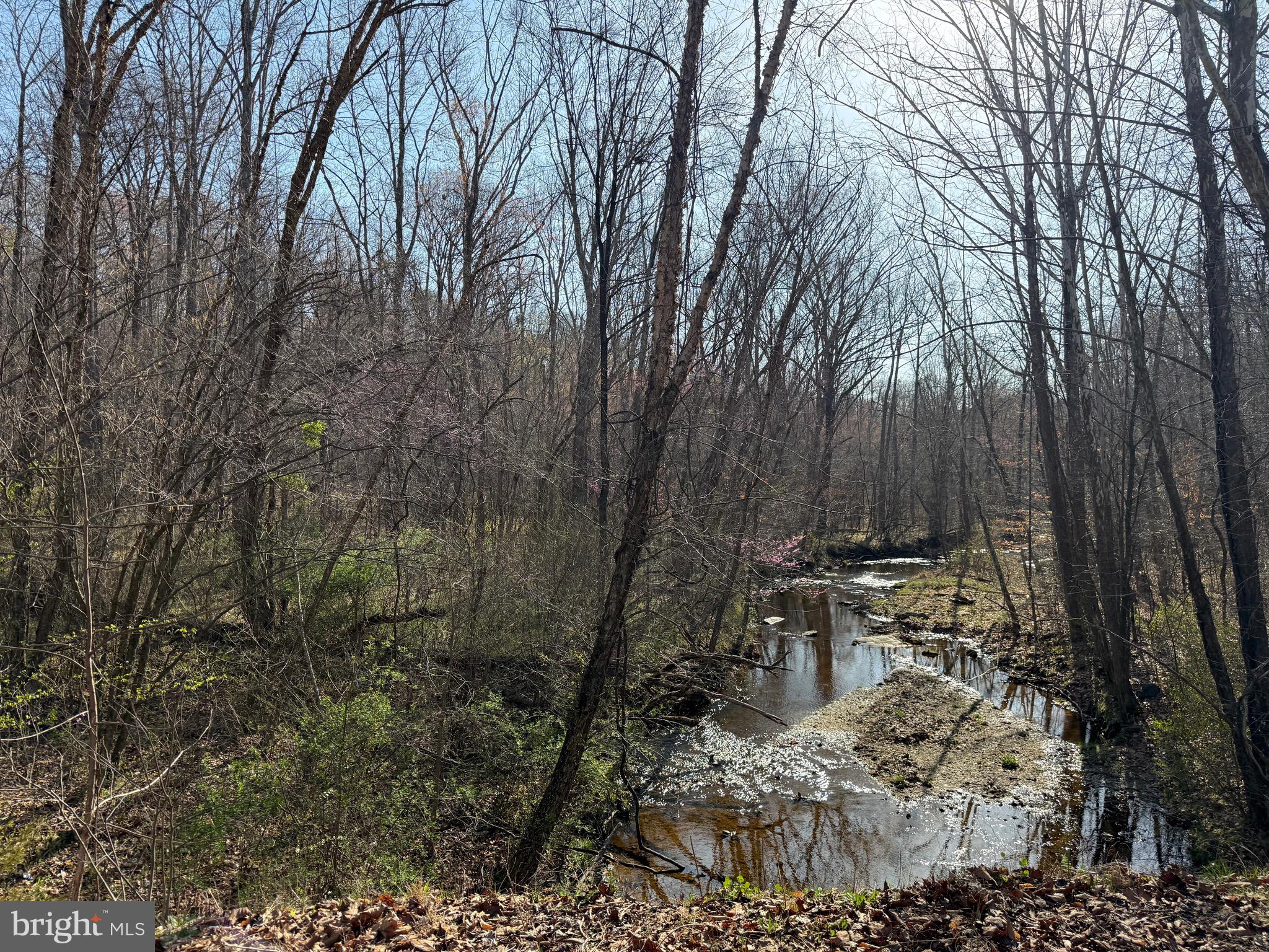 0 Paynes Pond Road Scottsville, VA 24590 - Photo 49 of 71