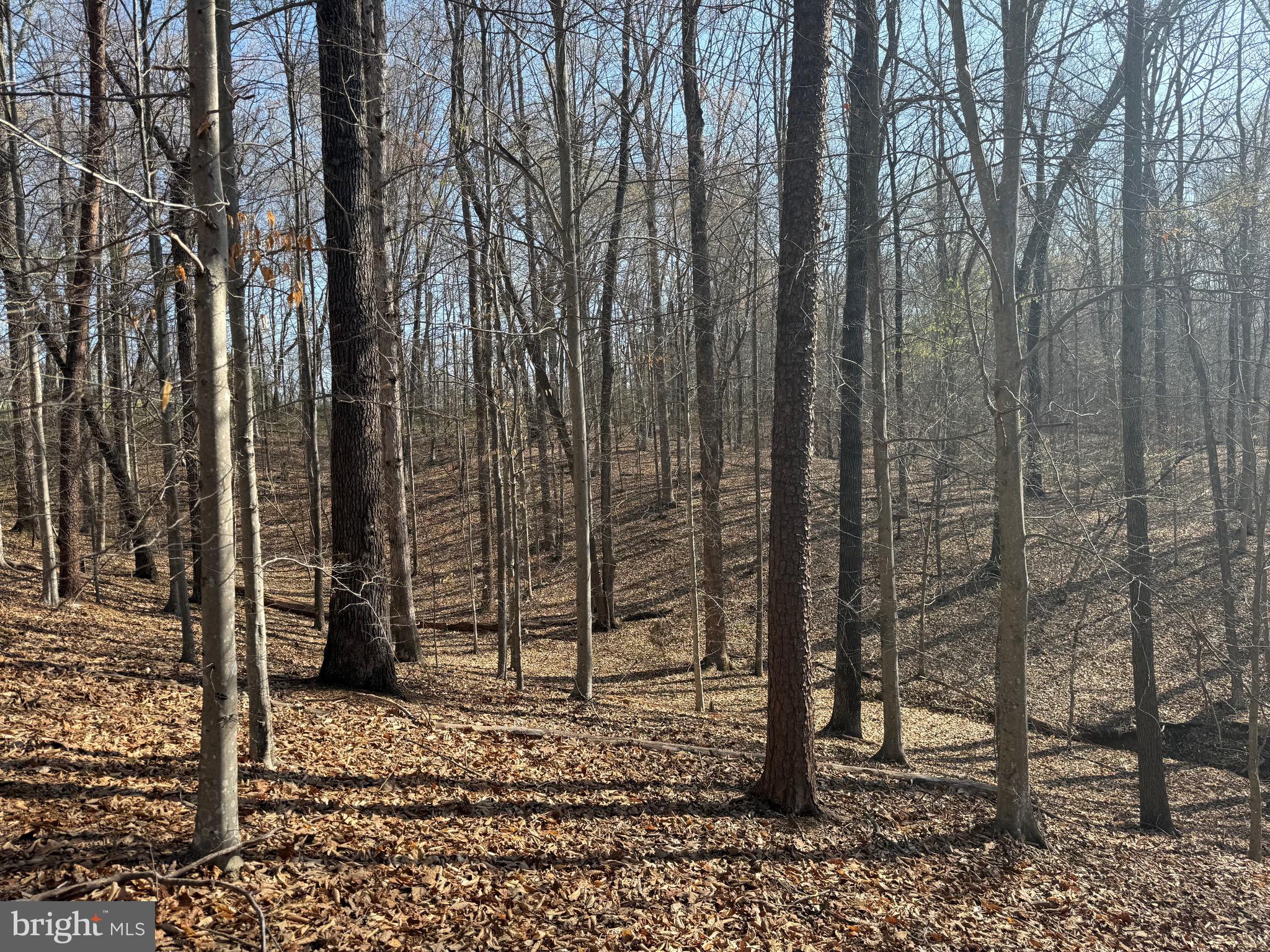 0 Paynes Pond Road Scottsville, VA 24590 - Photo 50 of 71