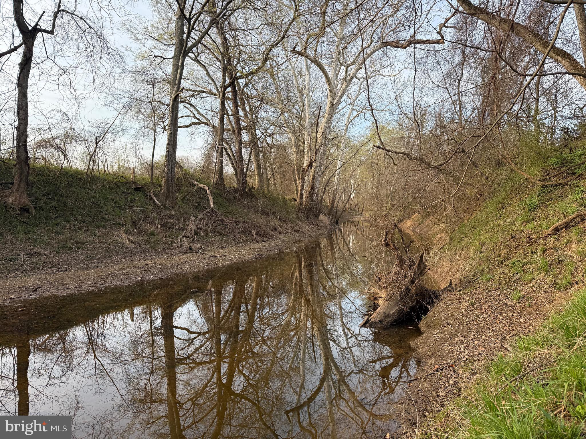 0 Paynes Pond Road Scottsville, VA 24590 - Photo 5 of 71