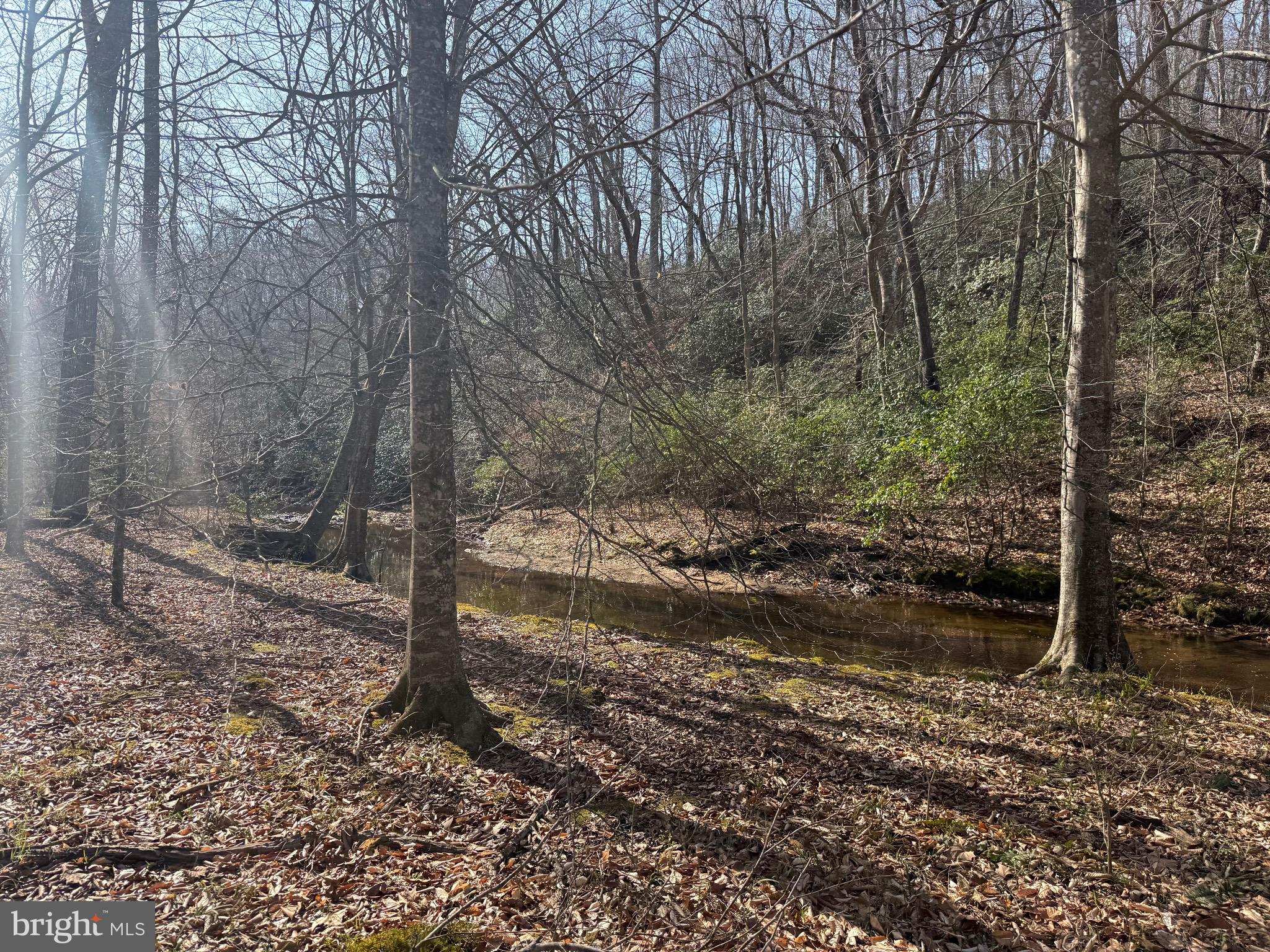 0 Paynes Pond Road Scottsville, VA 24590 - Photo 51 of 71