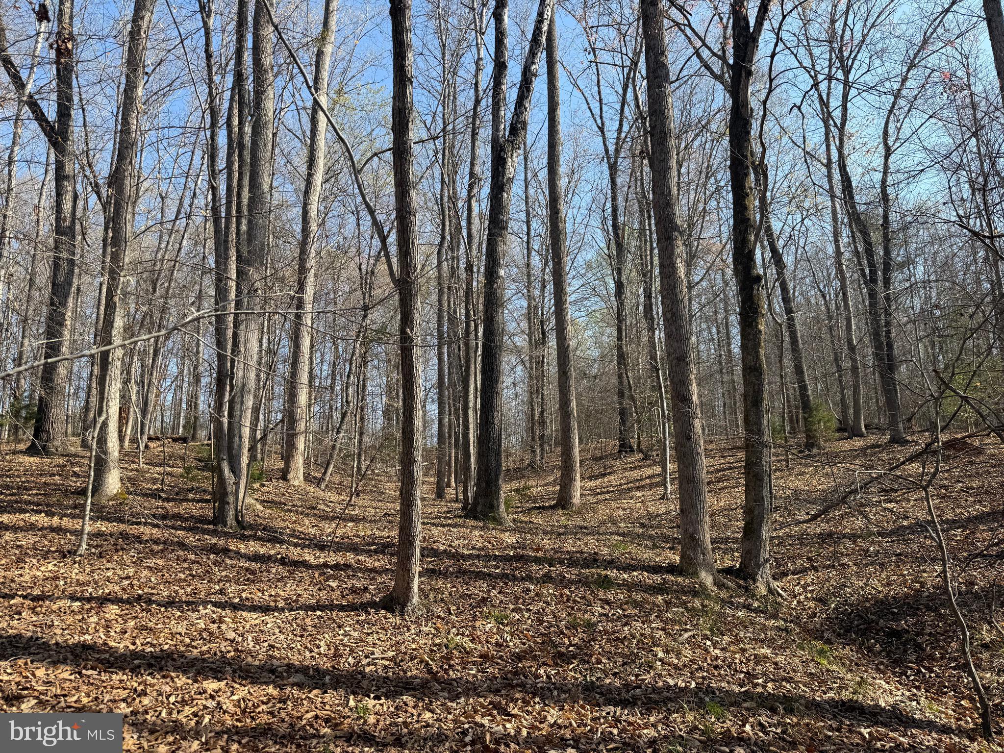 0 Paynes Pond Road Scottsville, VA 24590 - Photo 52 of 71