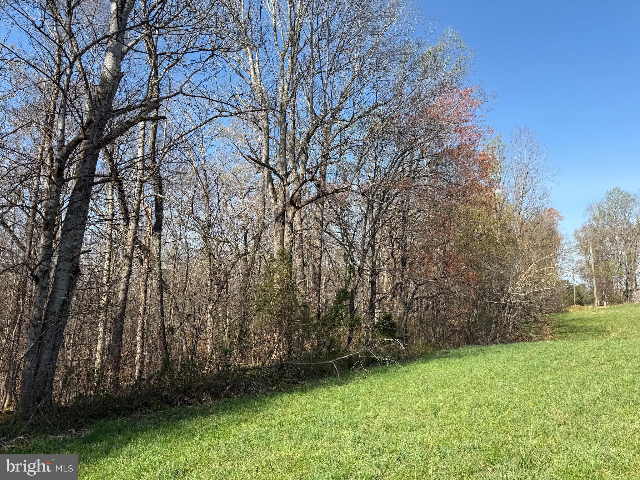 0 Paynes Pond Road Scottsville, VA 24590 - Photo 53 of 71