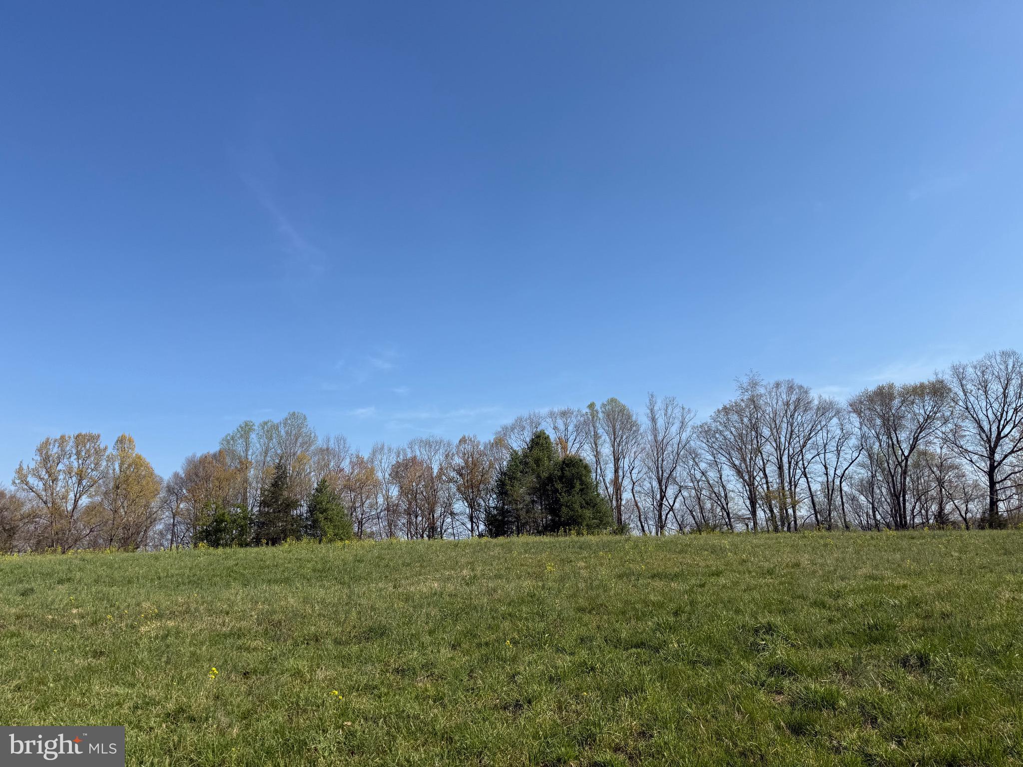 0 Paynes Pond Road Scottsville, VA 24590 - Photo 54 of 71