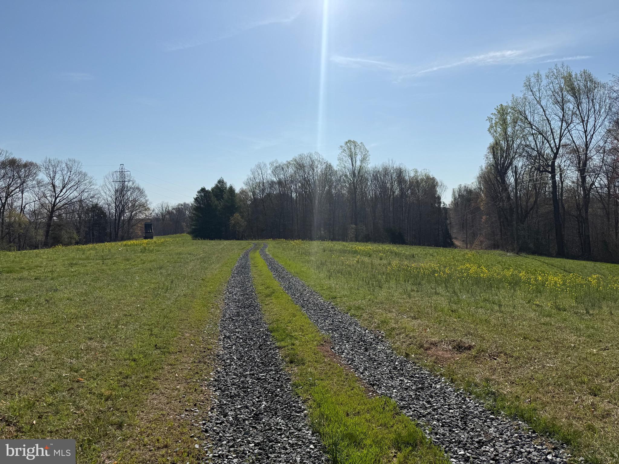 0 Paynes Pond Road Scottsville, VA 24590 - Photo 57 of 71