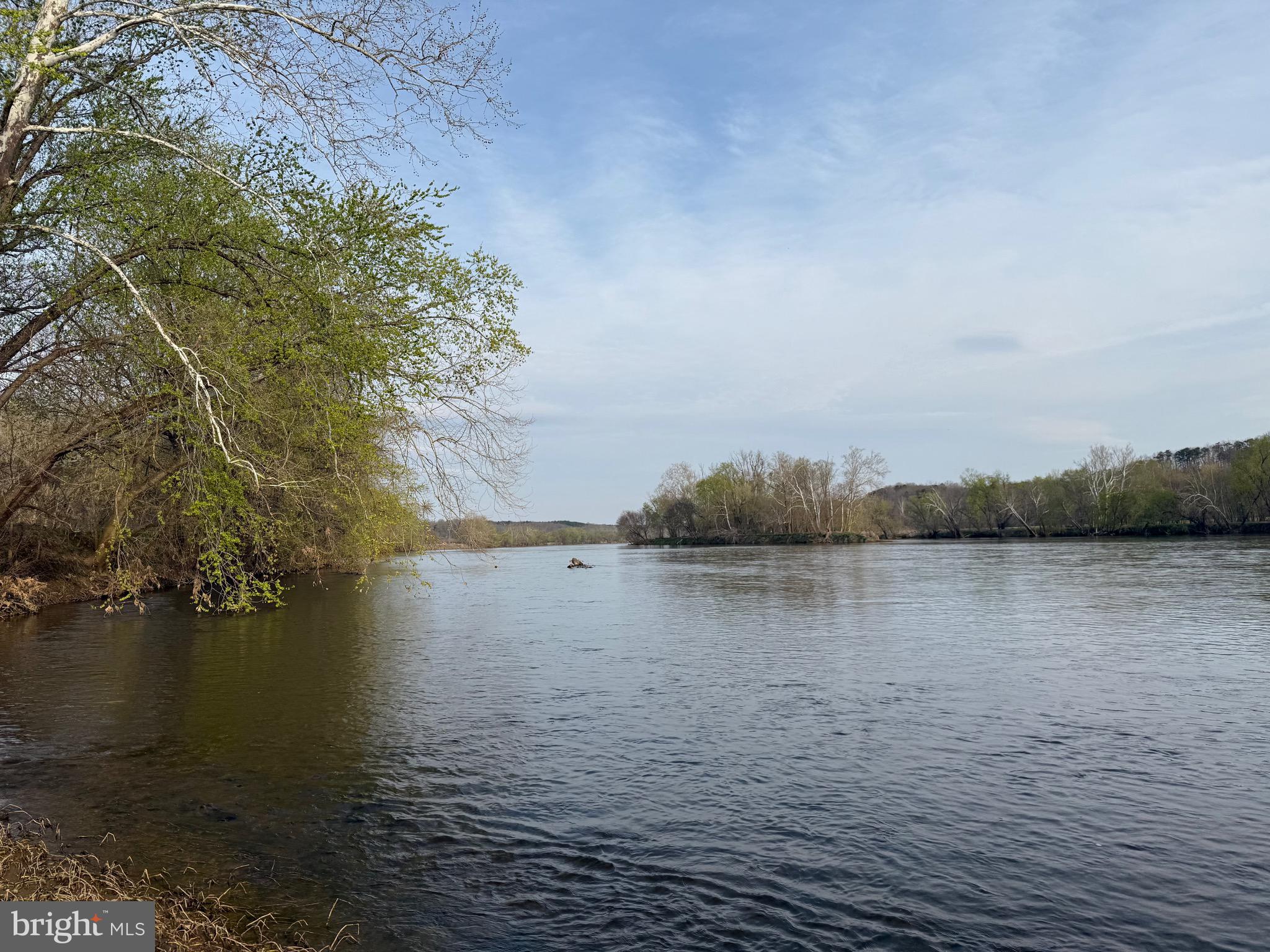 0 Paynes Pond Road Scottsville, VA 24590 - Photo 6 of 71