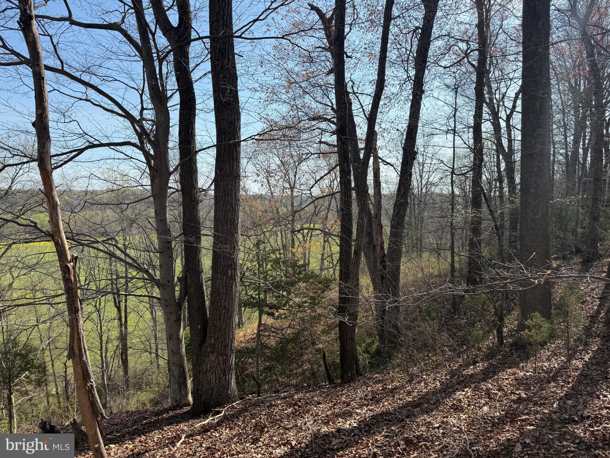 0 Paynes Pond Road Scottsville, VA 24590 - Photo 62 of 71