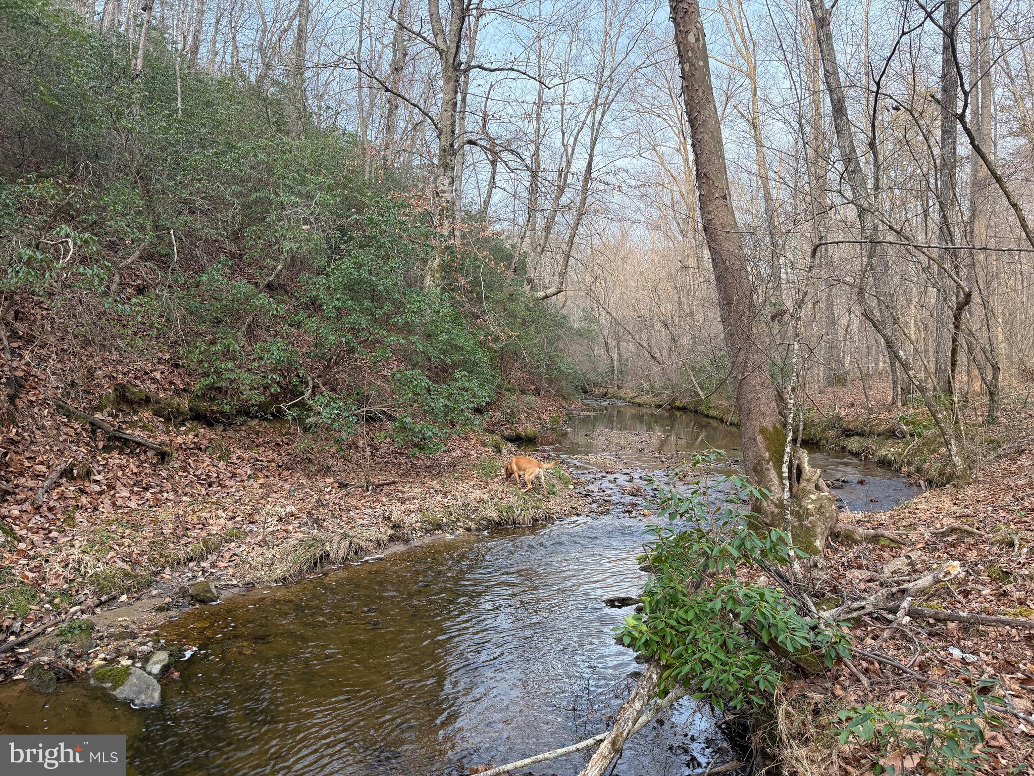 0 Paynes Pond Road Scottsville, VA 24590 - Photo 66 of 71