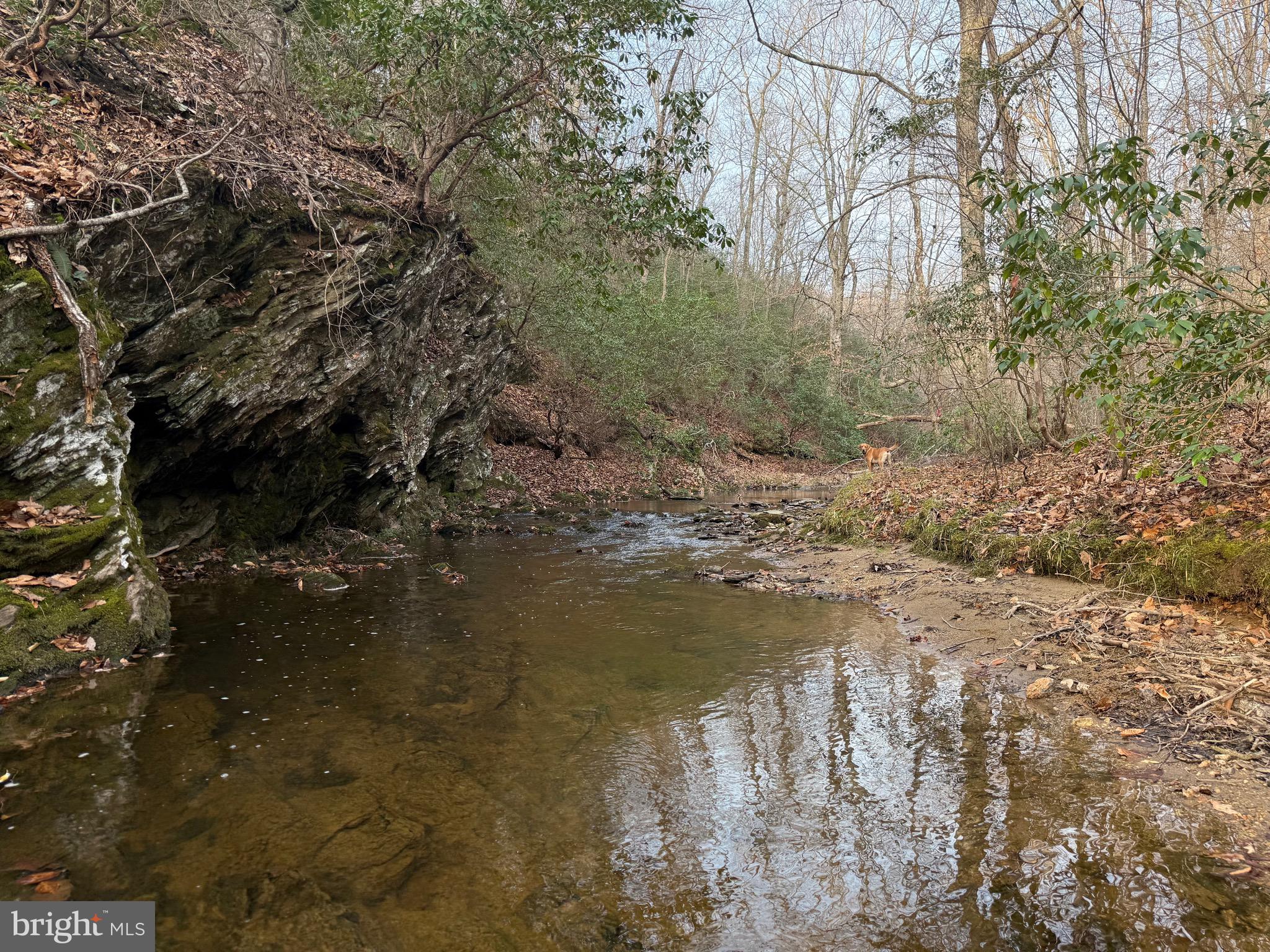 0 Paynes Pond Road Scottsville, VA 24590 - Photo 67 of 71