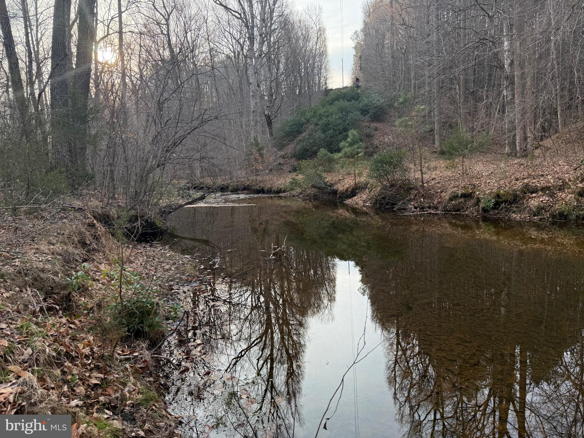 0 Paynes Pond Road Scottsville, VA 24590 - Photo 68 of 71