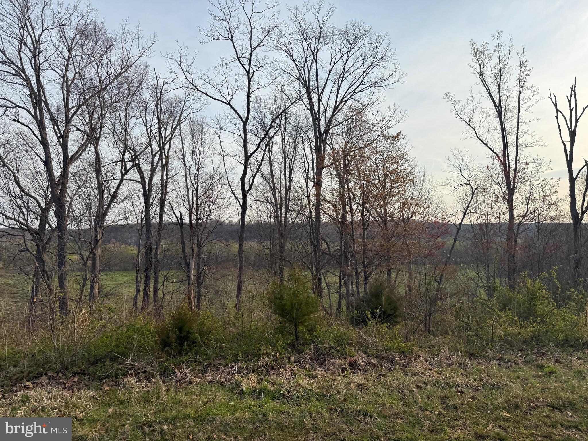 0 Paynes Pond Road Scottsville, VA 24590 - Photo 70 of 71