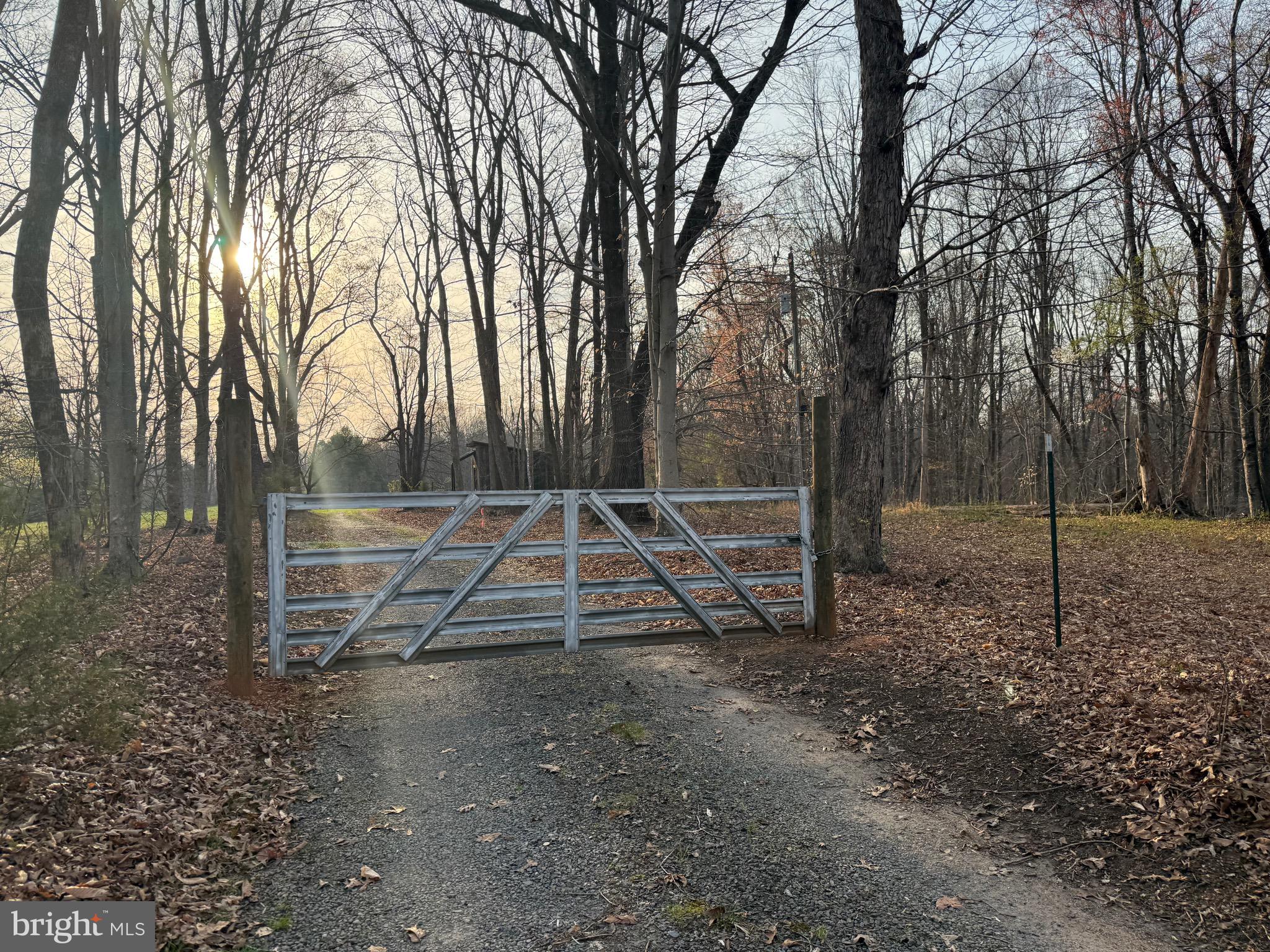 0 Paynes Pond Road Scottsville, VA 24590 - Photo 8 of 71