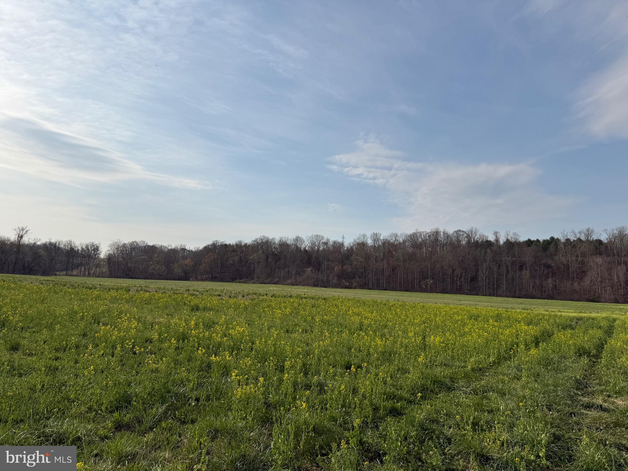 0 Paynes Pond Road Scottsville, VA 24590 - Photo 9 of 71