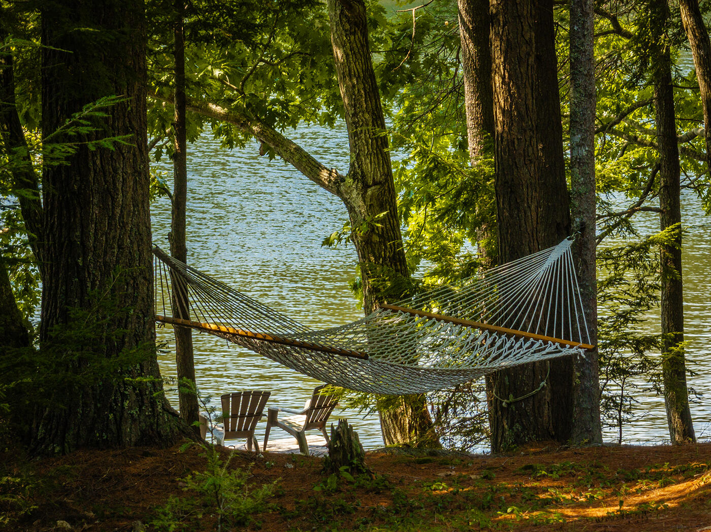 38 Codman Island Road Camden, ME 04843 - Photo 33 of 45 Hammock