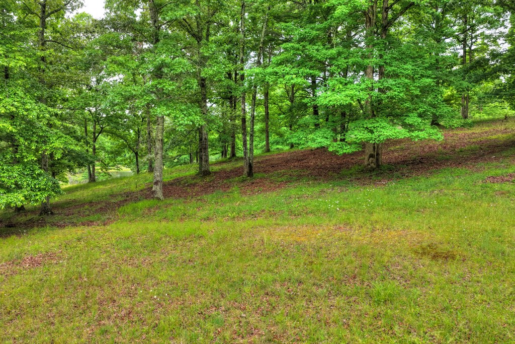 20.11 Mountain View Road McCaysville, GA 30555 - Photo 35 of 51