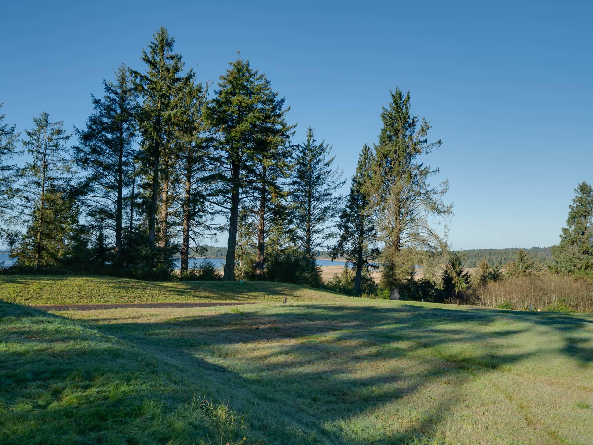 100 Nehalem Point Drive Astoria, OR 97103 - Photo 6 of 21 BH-Nehalem_Point_Lot-BrokenBanjo-005-WEB