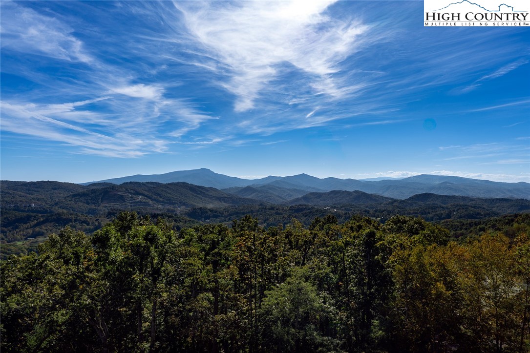 1180 Pinnacle Drive Boone, NC 28607 - Photo 11 of 50