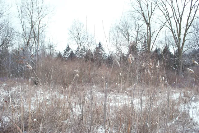 $345,000 | 3847 Lake Vista Drive, Dexter, MI 48130