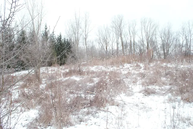 $345,000 | 3847 Lake Vista Drive, Dexter, MI 48130