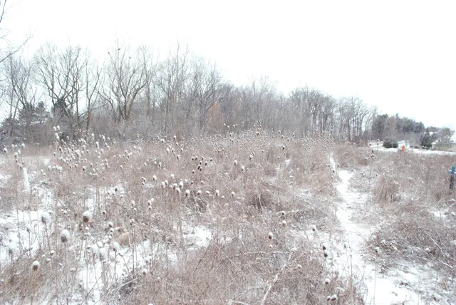 $345,000 | 3847 Lake Vista Drive, Dexter, MI 48130