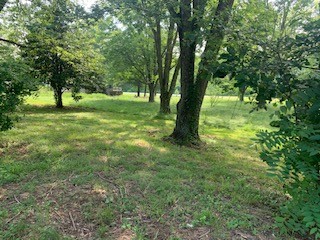 575 Templow Road Bethpage, TN 37022 - Photo 3 of 15 a view of outdoor space with trees
