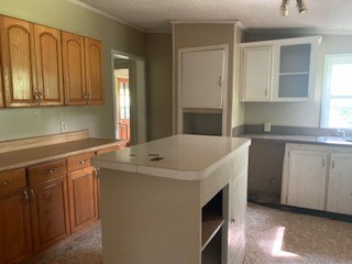 575 Templow Road Bethpage, TN 37022 - Photo 9 of 15 a kitchen with a sink cabinets and window