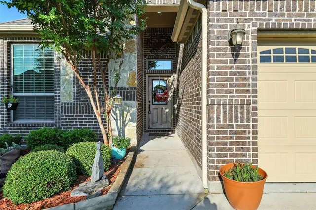 a view of a house with a potted plant and a window