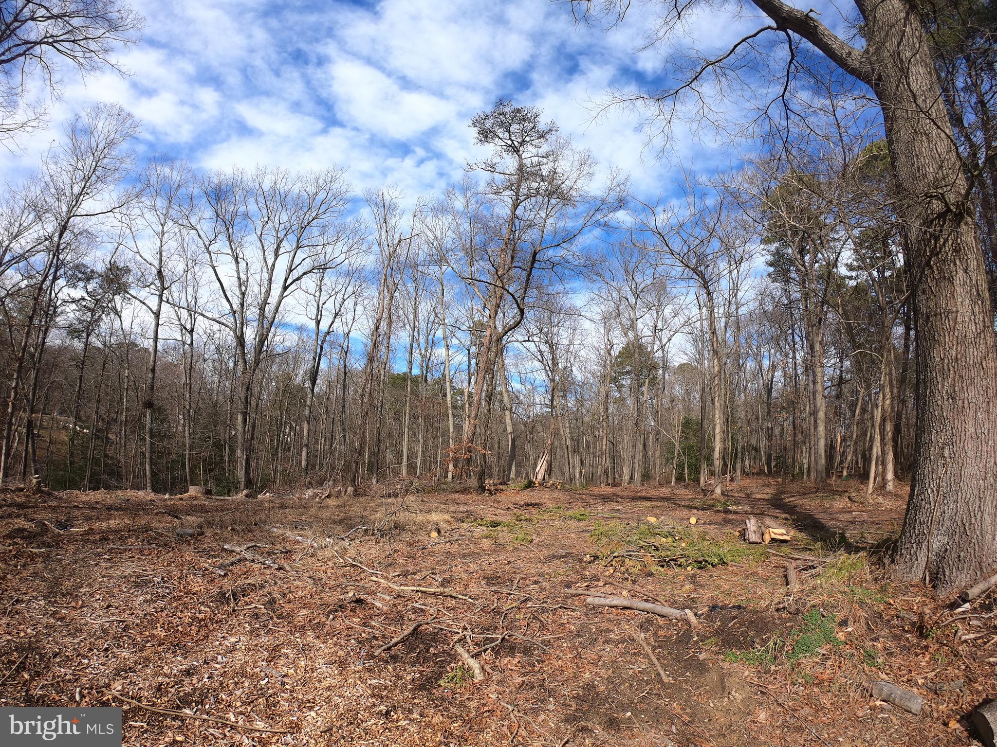 575 Riverview Road Pasadena, MD 21122 - Photo 2 of 5