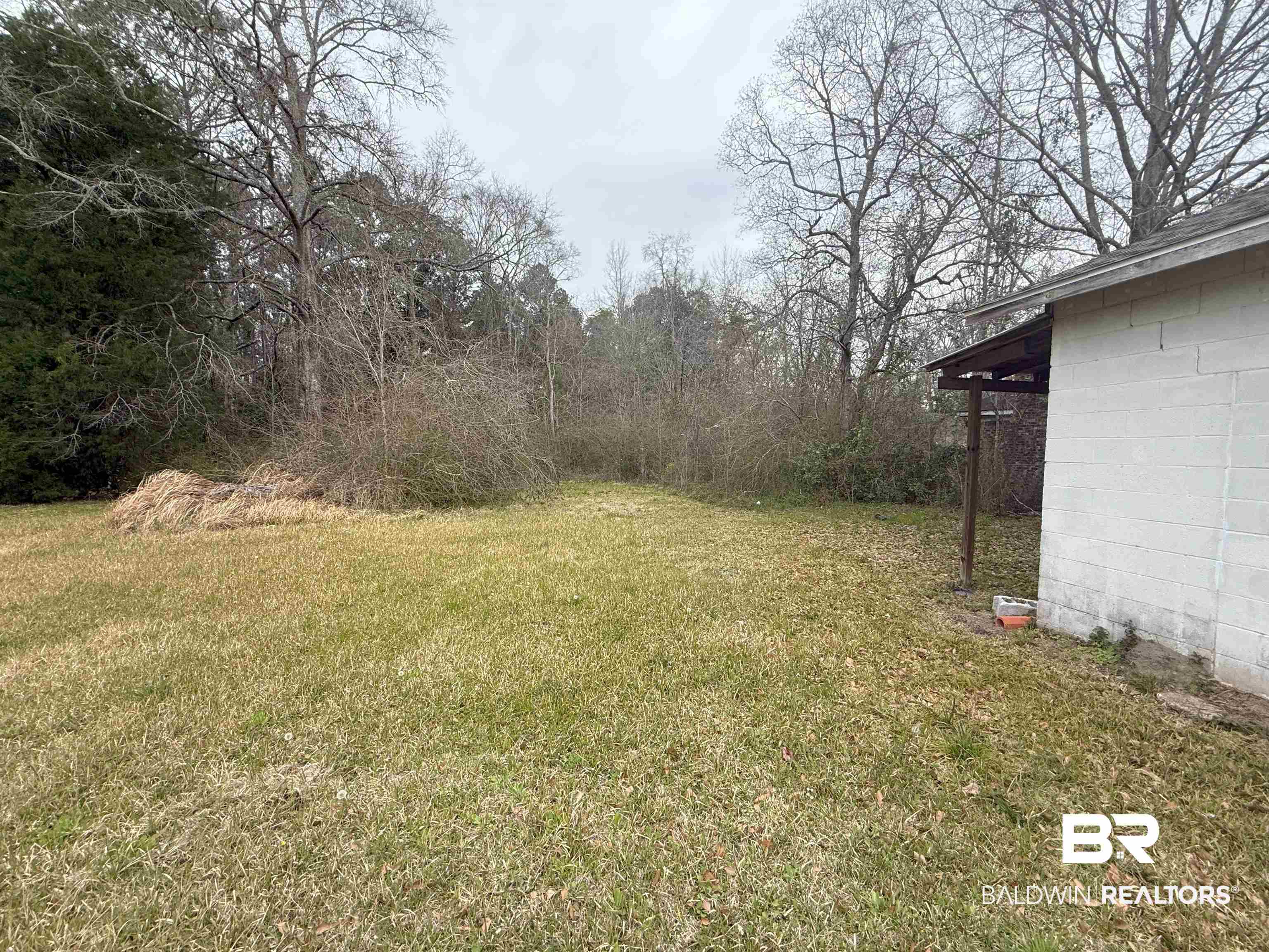 1166 Military Rd Mount Mount Vernon, AL 36560 - Photo 9 of 9 View of yard