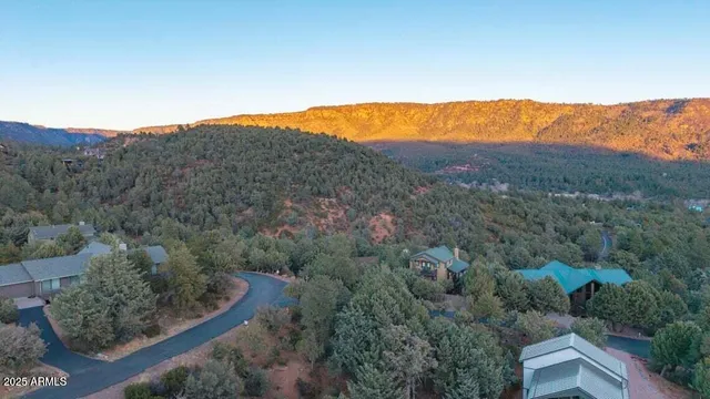an aerial view of mountain with trees