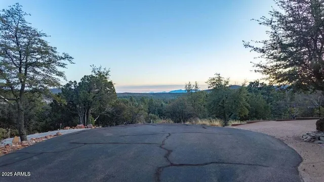 a view of a road with a trees in the background