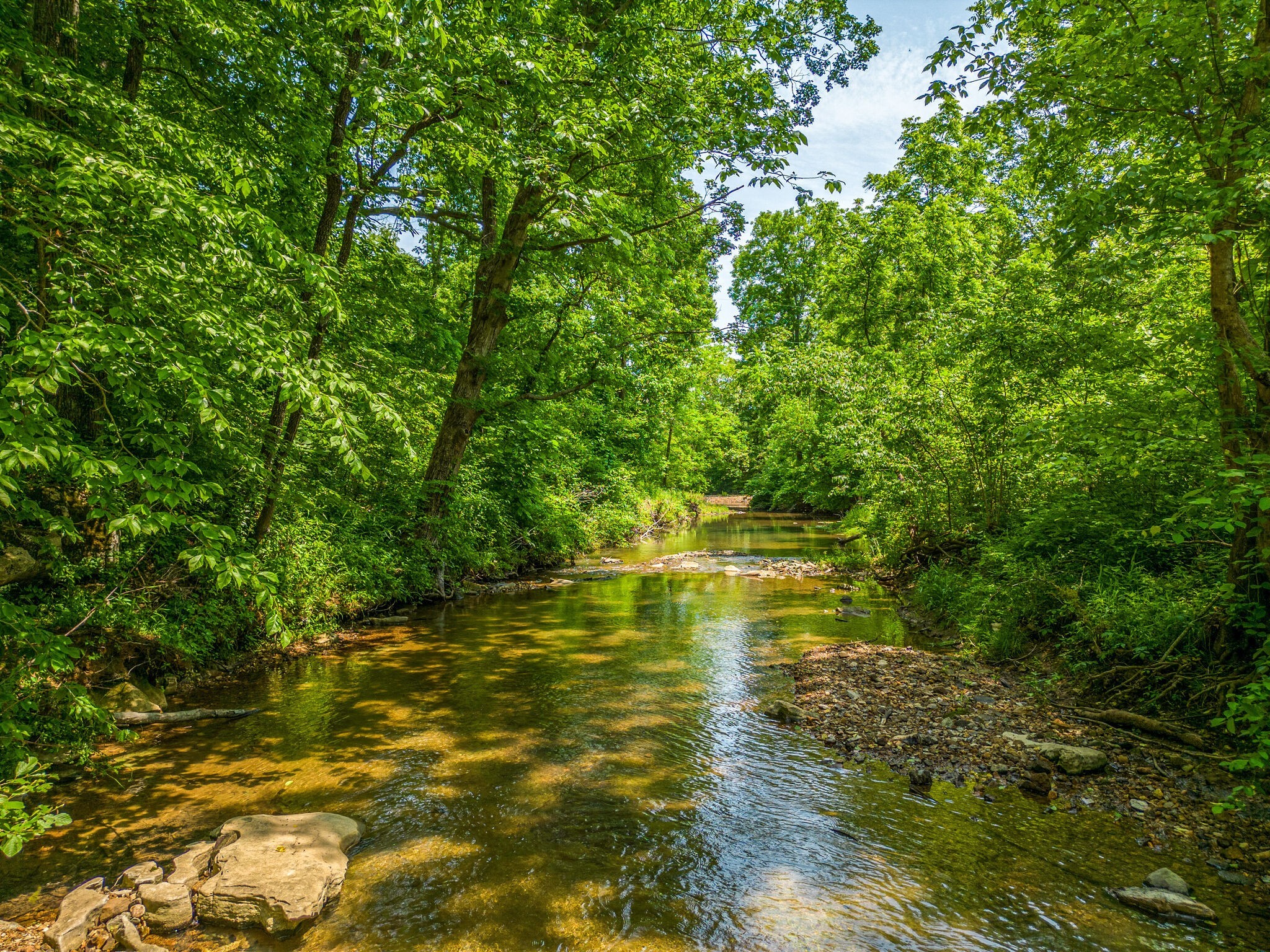 562 Sycamore Road Dickson, TN 37055 - Photo 5 of 34 Gallery Image 5