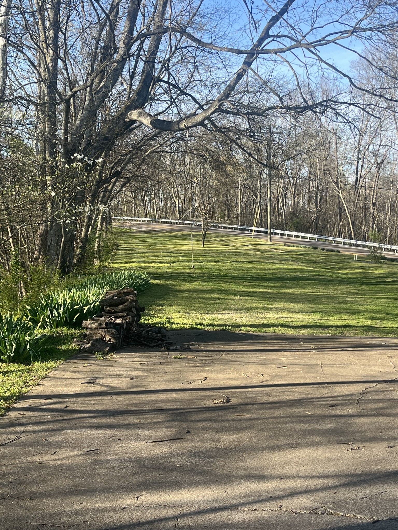 1763 Highway 166 Mount Pleasant, TN 38474 - Photo 29 of 40 a view of a house with a yard and large trees