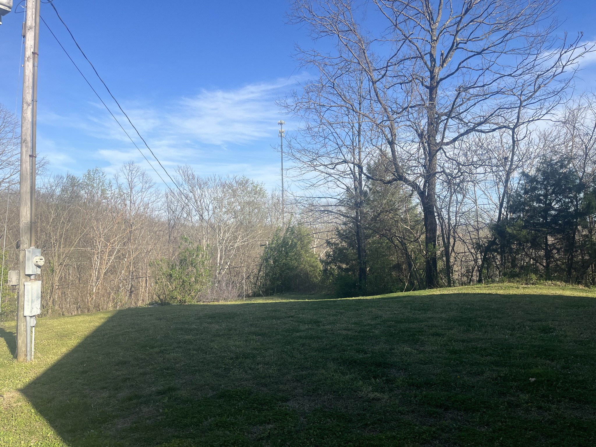 1763 Highway 166 Mount Pleasant, TN 38474 - Photo 31 of 40 a view of grassy field with trees