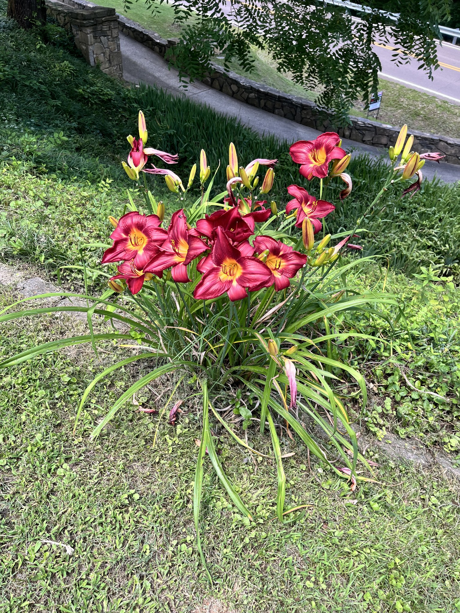 1763 Highway 166 Mount Pleasant, TN 38474 - Photo 38 of 40