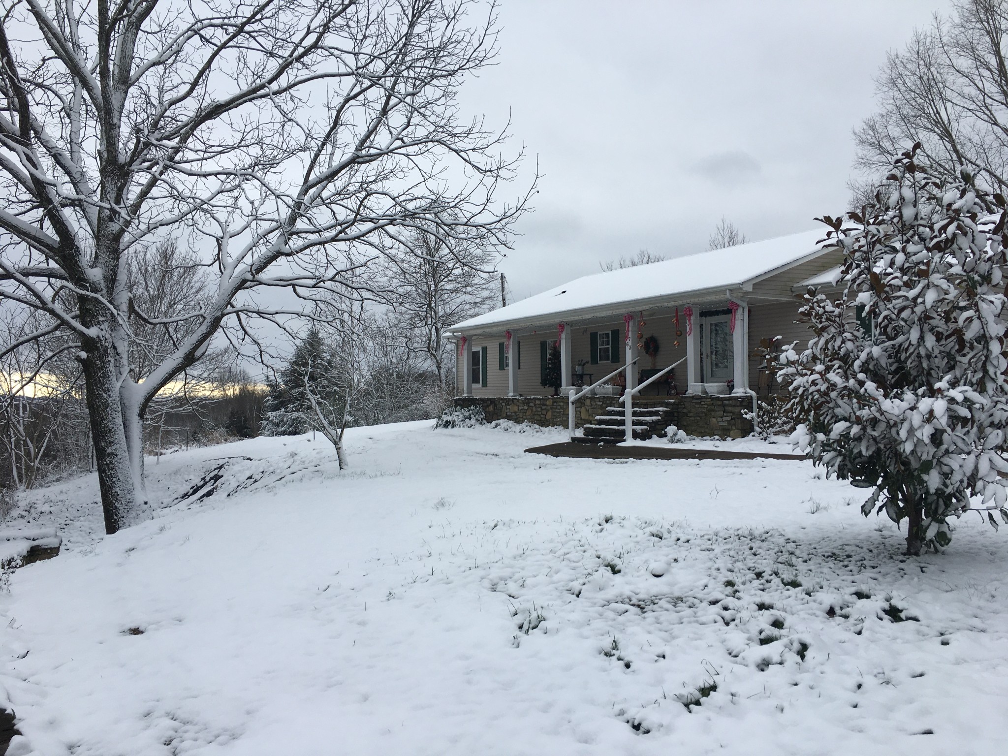 1763 Highway 166 Mount Pleasant, TN 38474 - Photo 40 of 40 a view of house with a yard covered in snow