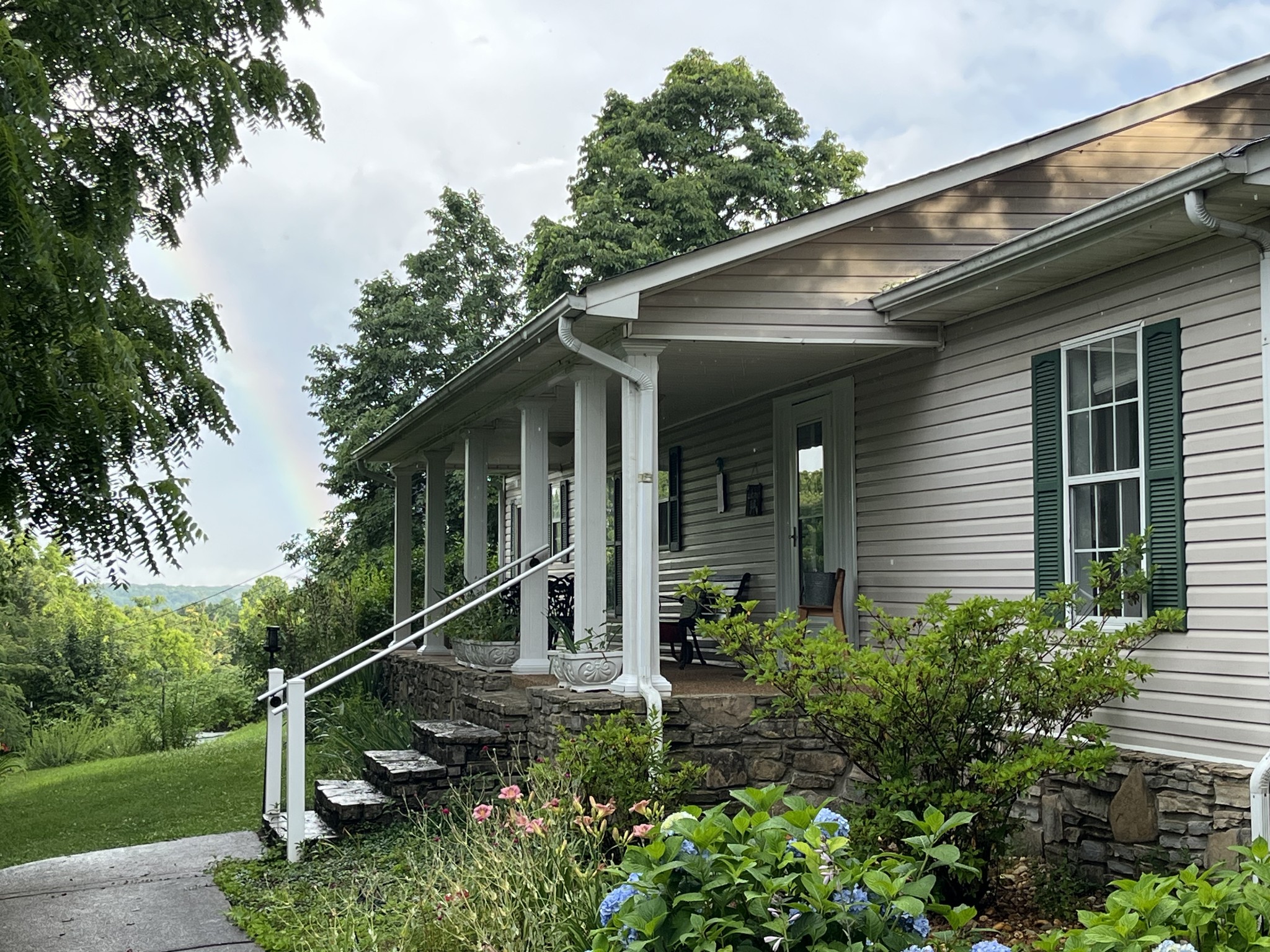 1763 Highway 166 Mount Pleasant, TN 38474 - Photo 4 of 40 a backyard of a house with plants and large trees