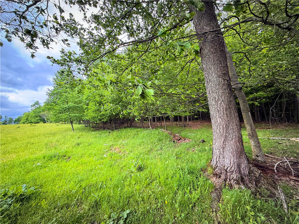 4 Putt Hill Road Chemung, NY 14825 - Photo 28 of 34 Gallery Image 28