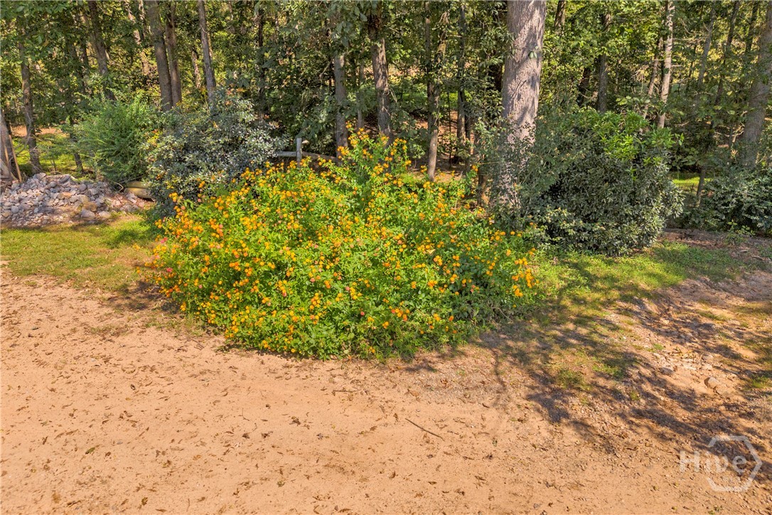 197 Joan Smith Road Hull, GA 30646 - Photo 53 of 69